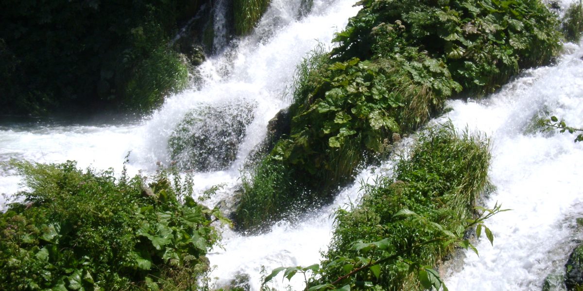 Wasserfall, der sich zwischen von Grünpflanzen überwucherten Felsen hinunterstürzt 