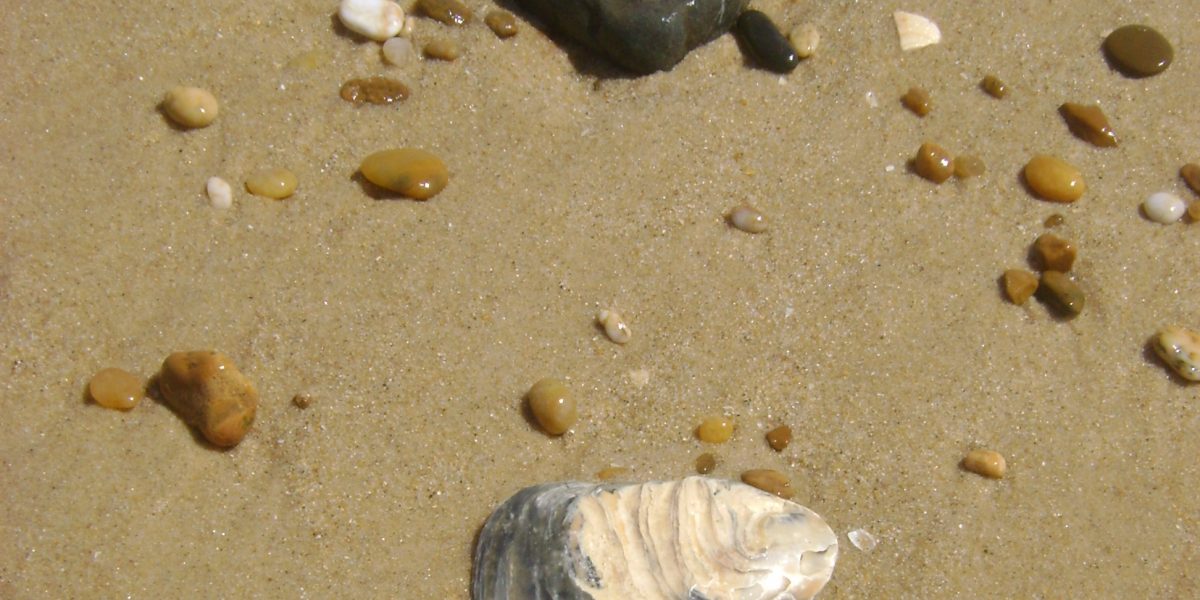 nasse Steine unterschiedlilcher Farbe und Form, die im Sand in Ufernähe liegen 